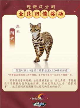 幻梦天龙八部私服